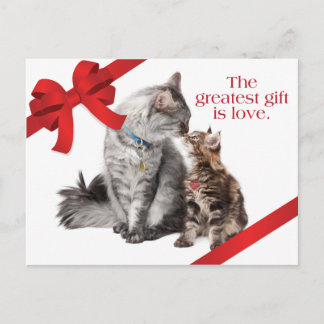 Holiday Cats Postcard
