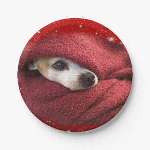 Holiday Chihuahua Paper Plate