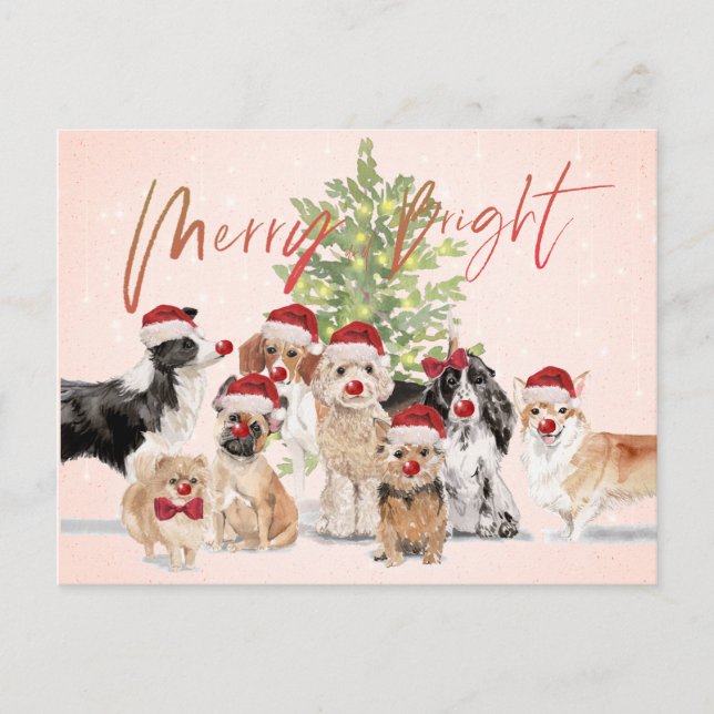 Holiday Christmas Dog Lovers Merry Santa Hat Postcard (Front)