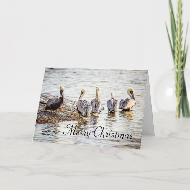 Holiday Coastal Brown Pelicans Thank You Card (Front)