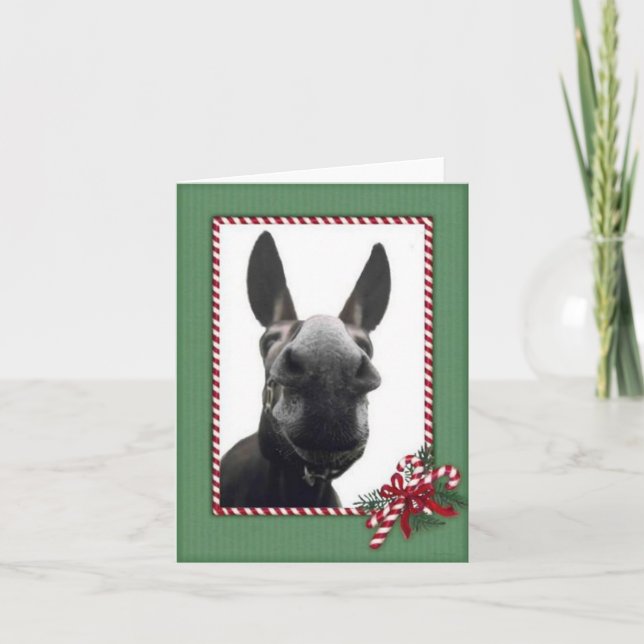 Holiday Cody Card (Front)