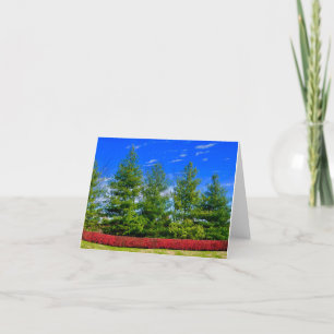 Holiday Coloured Nature Folded Card