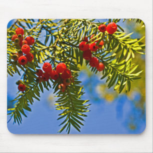Holiday Conifers Mouse Mat