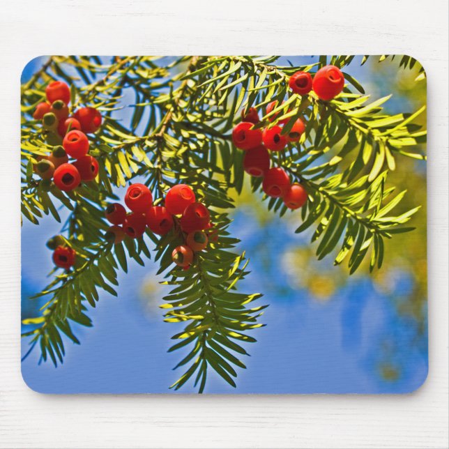 Holiday Conifers Mouse Mat (Front)