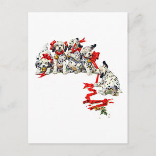 Holiday Dalmatian Pups
