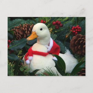 Holiday Duck