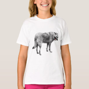Holiday Fetch Fun T-Shirt