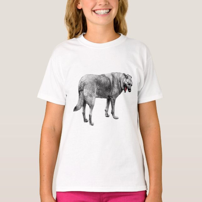 Holiday Fetch Fun T-Shirt (Front)
