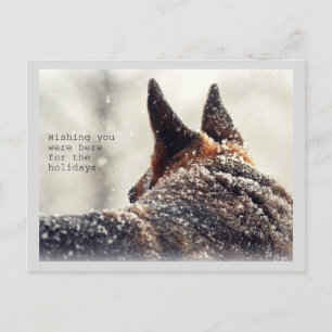 Holiday German Shepherd Postcard