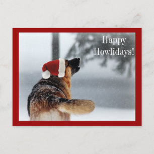 Holiday German Shepherd Postcard