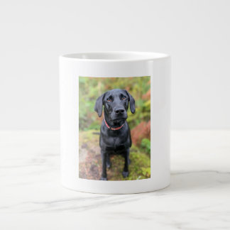 Holiday Gift Idea Under $20 Large Coffee Mug