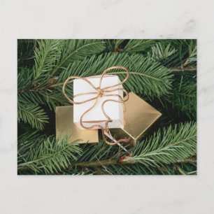 Holiday Gifts In Tree Postcard