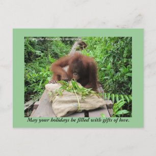 Holiday Gifts Jungle Style for Orangutans Postcard