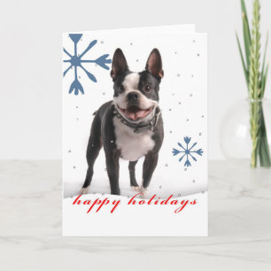 Holiday Greeting Card