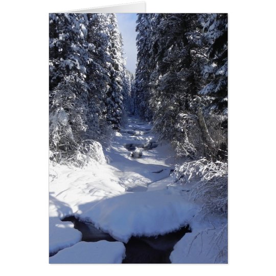 Holiday Greeting Card