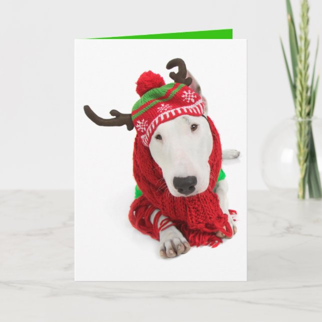 Holiday Greeting Card-one eared Bull Terrier (Front)