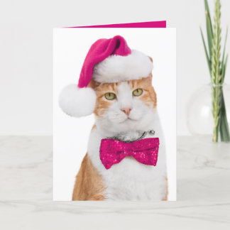Holiday Greeting Card-Spunky Kitty Card