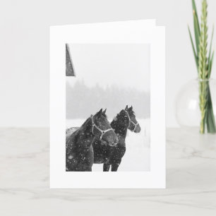 Holiday Greeting Snow Horses Xmas Equine Christmas