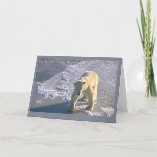 Holiday Greetings - Polar Bear Card