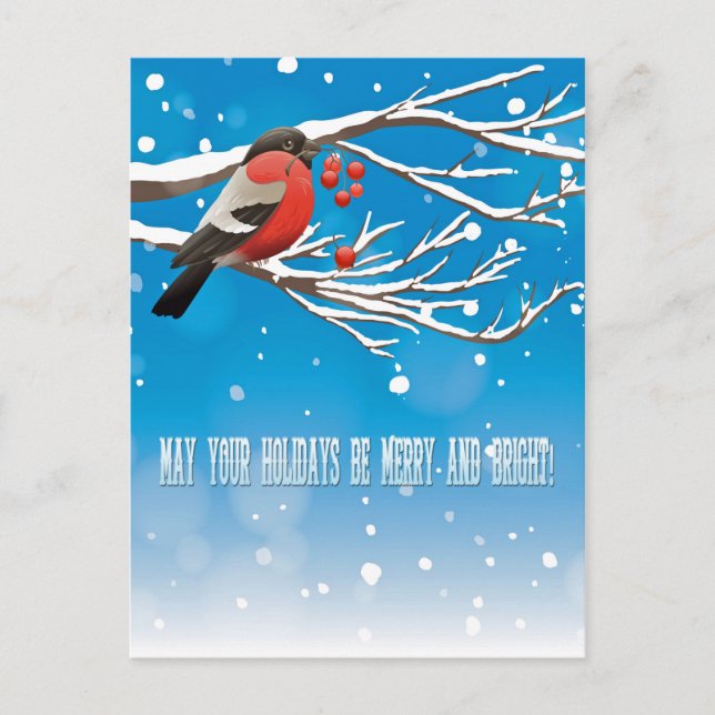 Holiday Greetings Postcard (Front)