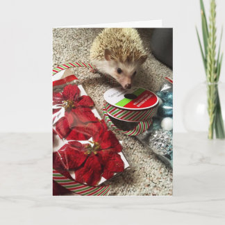 Holiday Hedgehog Funny Christmas Card