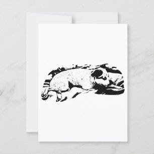Holiday Hello from Bed and Blanket Postcard
