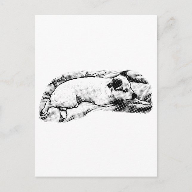 Holiday Hello from Blanket and Buddy Postcard (Front)