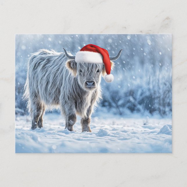 Holiday Highland Calf in the Snow Cute Postcard (Front)