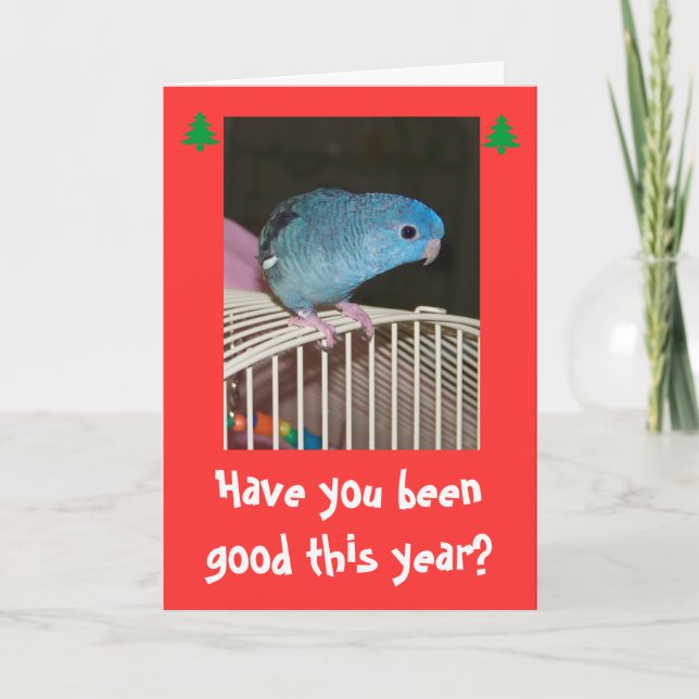 Holiday Holidays Poopy Card Merry Christmas (Front)