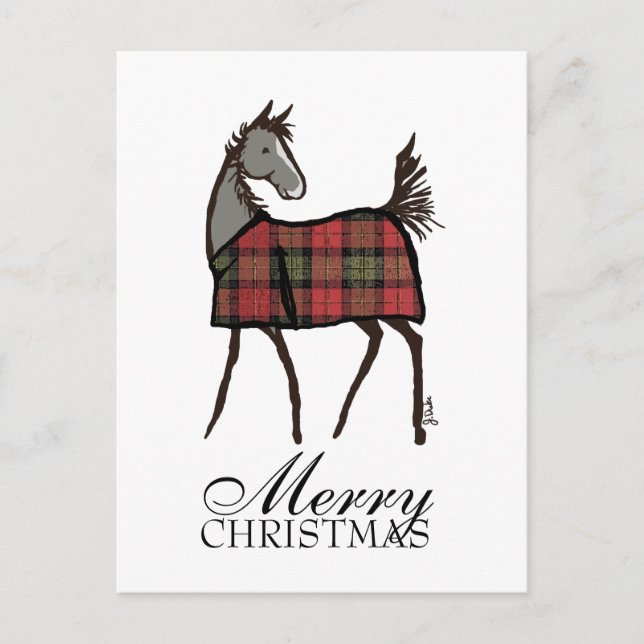 Holiday Horse Foal with Blanket Christmas Postcard (Front)