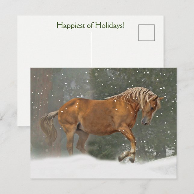 Holiday Horse in Snow Postcard (Front/Back)