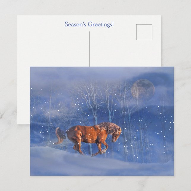 Holiday Horse in Snow Pretty Postcard (Front/Back)