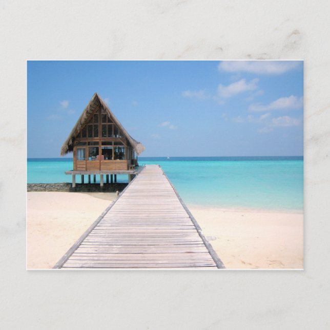 Holiday in Maldives Postcard (Front)
