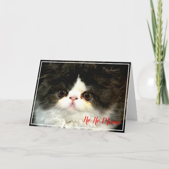 Holiday Kitten | Meowy Christmas  Card (Front)