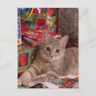 Holiday Kitty