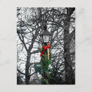 Holiday Lamp Post Postcard