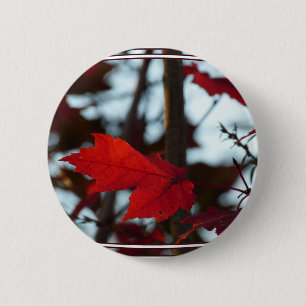 Holiday Leaves 6 Cm Round Badge