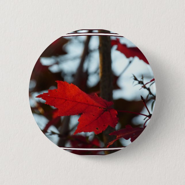 Holiday Leaves 6 Cm Round Badge (Front)
