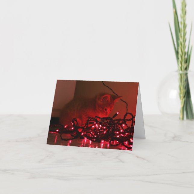 Holiday lights card (Front)
