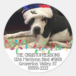 Holiday Lights Pet Photo Return Address Classic Round Sticker