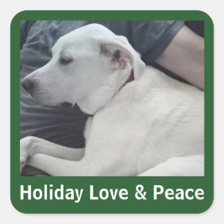 Holiday Love and Peace Cute Dog Photo with Dad Square Sticker