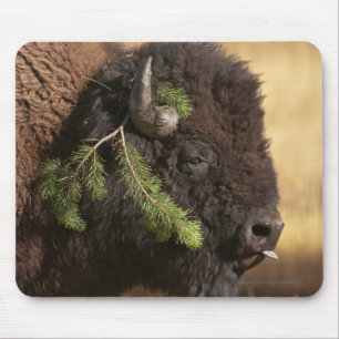 Holiday Mischief Mouse Mat