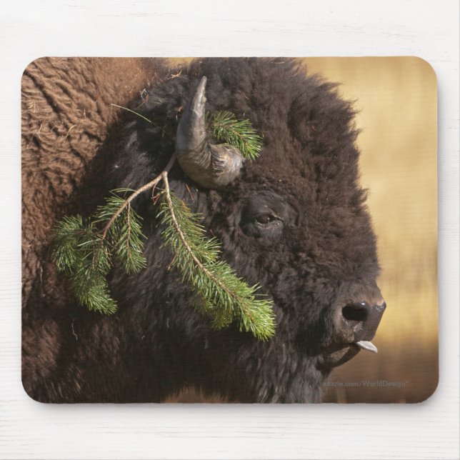 Holiday Mischief Mouse Mat (Front)