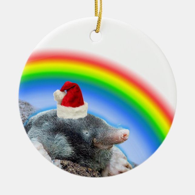 Holiday mole ceramic tree decoration (Front)