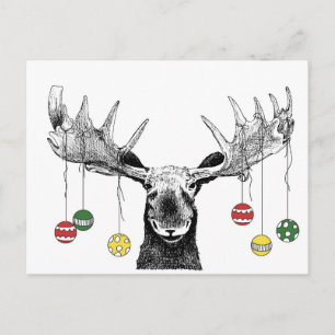 Holiday Moose Postcard