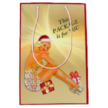 Holiday Package Retro Pinup Girl Christmas