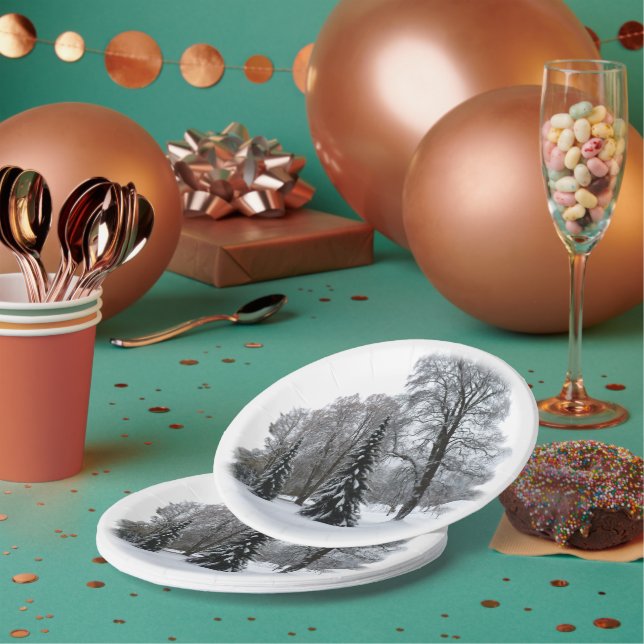 Holiday Paper Plates Winter Wonderland Plates (Multi)