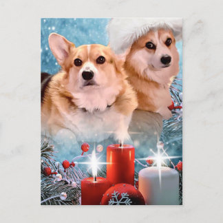 Holiday Pembroke Welsh Corgis  Holiday Card