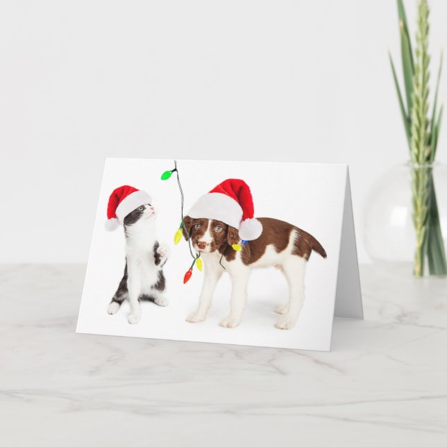 Holiday Pet Mischief (Front)