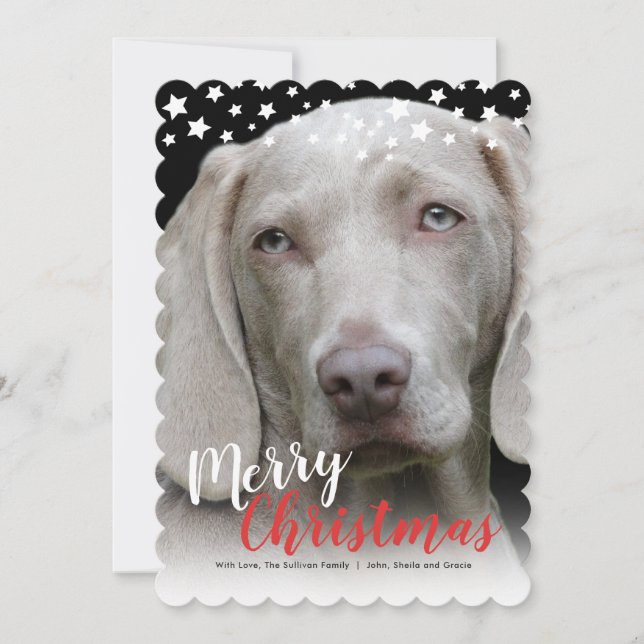 Holiday Photo Card | Doggie Love (Front)